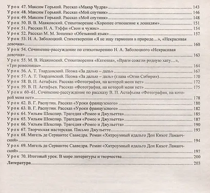 Литература. 8 класс: рабочая программа и технологические карты уроков по учебнику Г.С. Меркина - фото 4