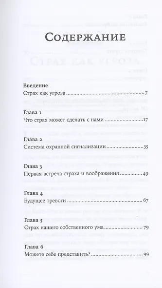 Парадокс страха: Как одержимость безопасностью мешает нам жить - фото 2