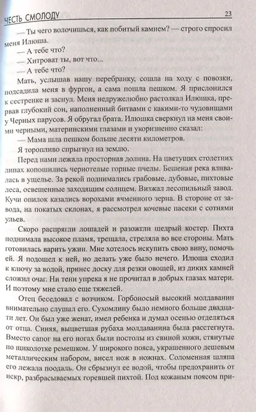 Честь смолоду - фото 5