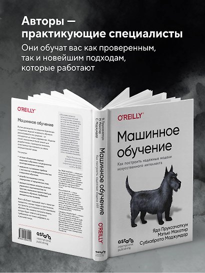 Машинное обучение. Как построить надежные модели искусственного интеллекта - фото 5