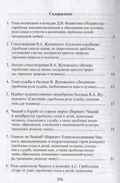 Сочинения по литературе: примеры и основы для написания - фото 2