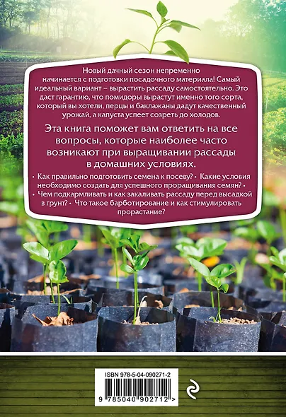 Своя рассада. Легко и надежно - фото 2