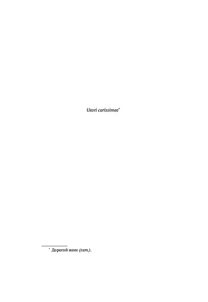 Homo ludens. Человек играющий - фото 9