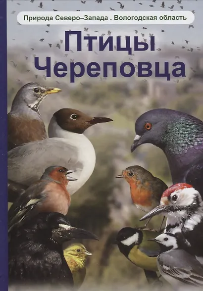 Птицы Череповца - фото 1