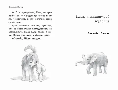 Чудеса в полярную ночь - фото 7