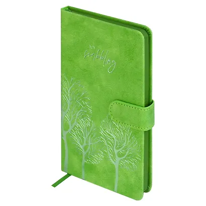 Ежедневник недат. А6+ 120л 110x190 "Тиволи" зеленый, кожзам, тв.переплет, тисн.фольгой, магнит.клапан, офсет, загругл.углы, справ.мат-лшы, ляссе, инд.уп - фото 5
