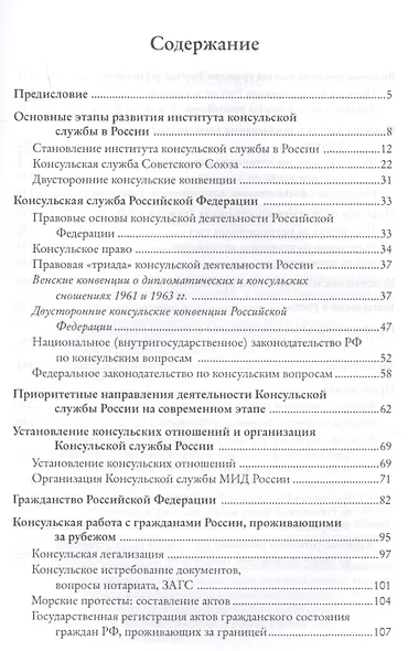 Консульская служба РФ на современном этапе (Лебедева) - фото 2