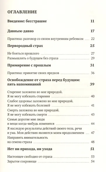 Бесстрашие. Мудрость, которая позволит вам пережить бурю - фото 2