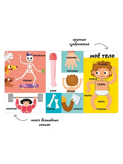 Мои первые 100 слов с большими окошками. Мое тело - фото 6