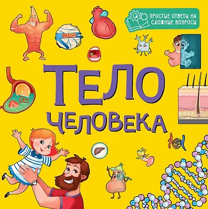 Тело человека - фото 1