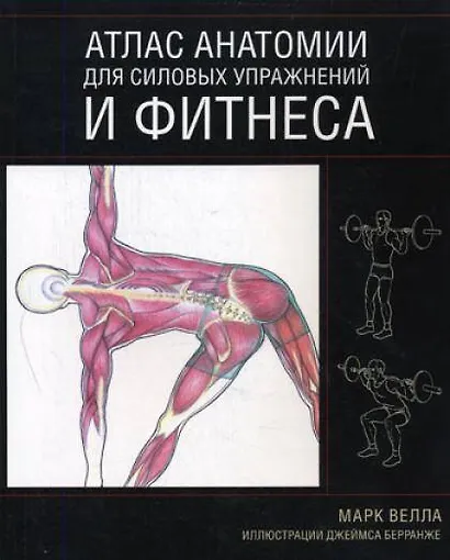 Атлас анатомии для силовых упражнений и фитнеса - фото 1