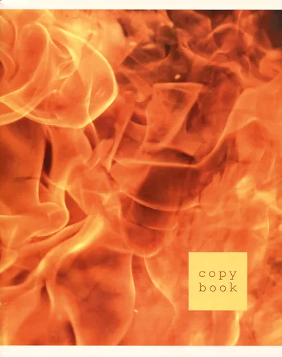 Тетрадь в клетку Listoff, "Сила стихии", 96 листов, в ассортименте - фото 6