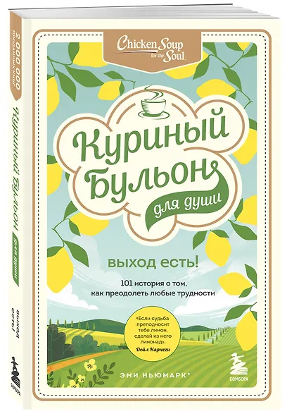 Куриный бульон для души. Выход есть! 101 история о том, как преодолеть любые трудности - фото 3