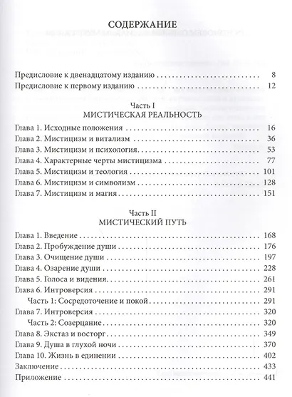Мистицизм: Опыт исследования духовного сознания человека - фото 2