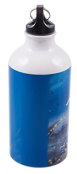 Бутылка с карабином СПб Ноксо Наедине с Петербургом Чайки и гирлянды (металл) (500мл) (БМ2025-55) - фото 2