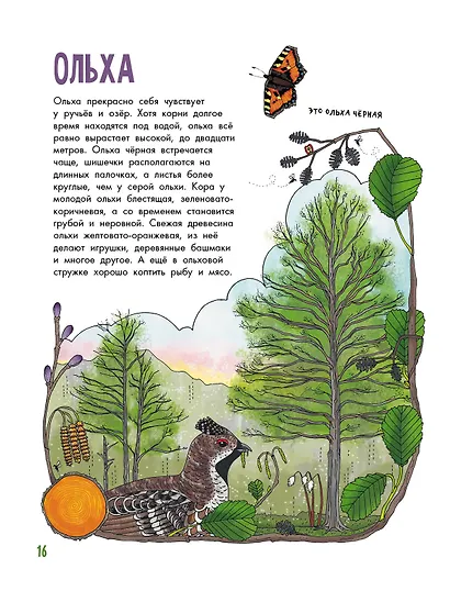 Деревья - фото 9