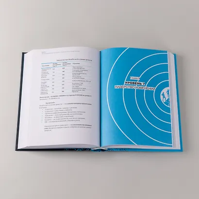 Организационная зрелость и управление кризисами: Как компания становится системой - фото 8