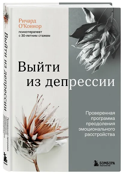 Выйти из депрессии. Проверенная программа преодоления эмоционального расстройства - фото 3