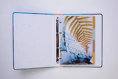 Тетрадь общая на кольцах «Золотой папоротник», А5, 100 листов - фото 5