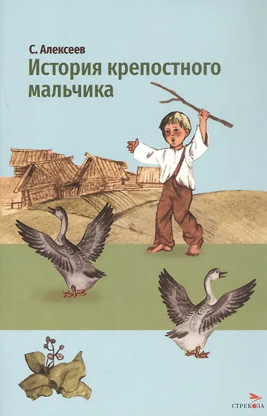 История крепостного мальчика - фото 1