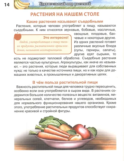ЭНЦИКЛОПЕДИЯ. ХОЧУ ЗНАТЬ. УДИВИТЕЛЬНЫЙ МИР РАСТЕНИЙ - фото 5