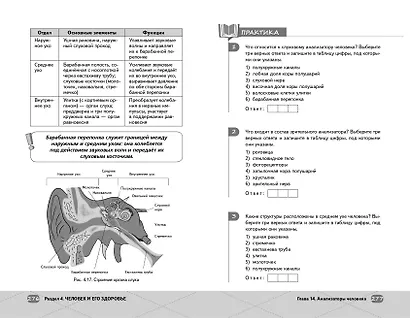 ОГЭ. Биология - фото 15