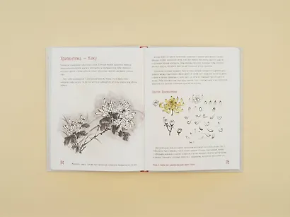 Живопись суми-э. Полный курс рисования в японской традиционной технике - фото 5