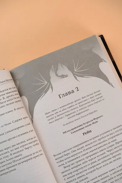 Сожженные земли. Закон дитто - фото 8