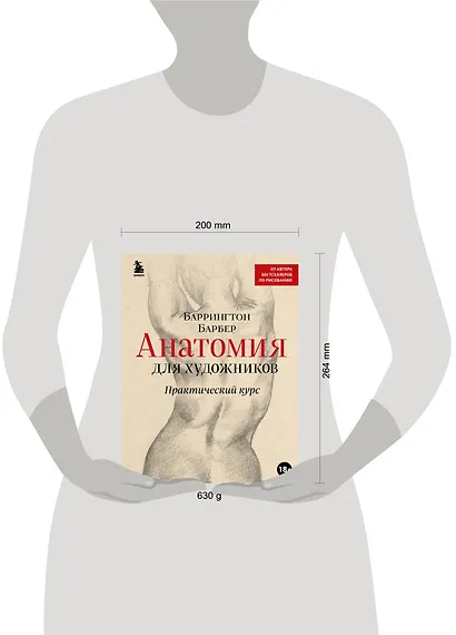 Анатомия для художников. Практический курс - фото 4