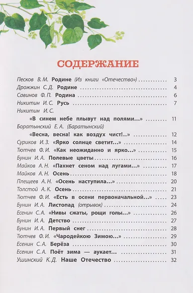 Это русская земля!: стихи о Родине - фото 4