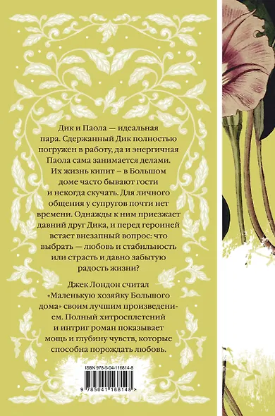 Маленькая хозяйка Большого дома - фото 2