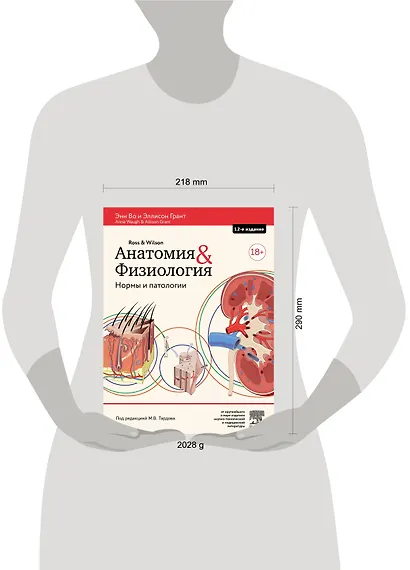 Анатомия и физиология. Нормы и патологии - фото 7