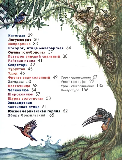 Азбука диковинных птиц. Для взрослых и детей - фото 8