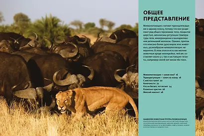 Тайны животных. Большая иллюстрированная энциклопедия - фото 9