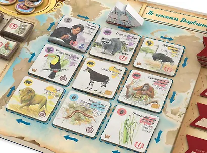 По стопам Дарвина - фото 4