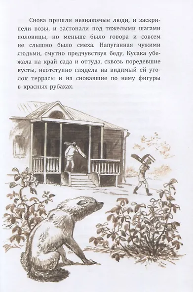 Жила на свете собака. Рассказы - фото 3