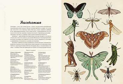 Анималиум - фото 7