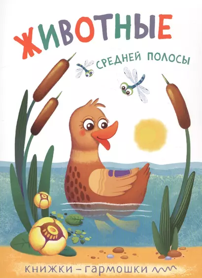 Книжки-гармошки. Животные средней полосы - фото 1