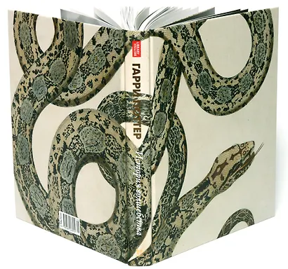 Гарри Поттер. История волшебства - фото 5