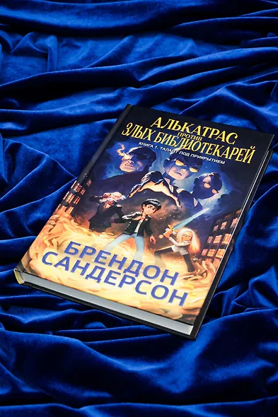 Алькатрас против злых Библиотекарей. В 2-х книгах. Книга 1. Талант под прикрытием - фото 11