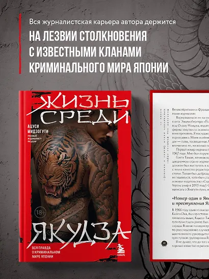 Жизнь среди якудза. Вся правда о криминальном мире Японии - фото 4