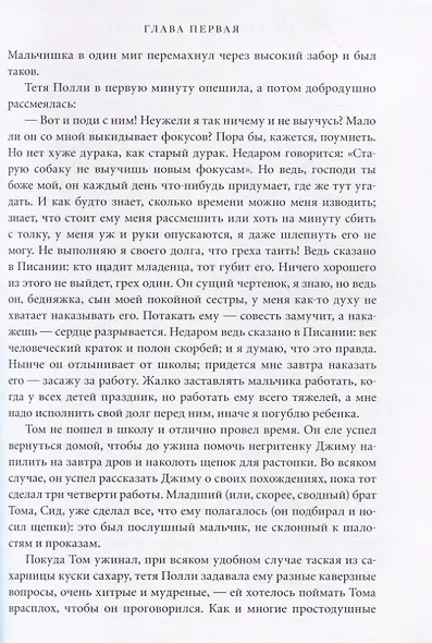 Приключения Тома Сойера - фото 6
