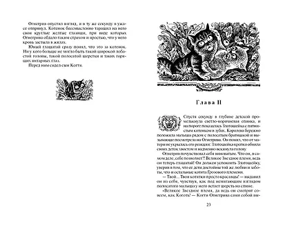 Бушующая стихия - фото 11