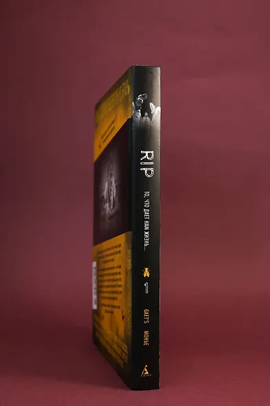 RIP. Книга 1. То, что дает нам жизнь... - фото 8