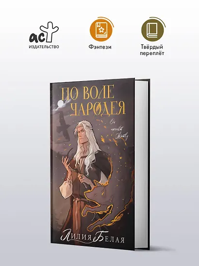 По воле чародея - фото 4