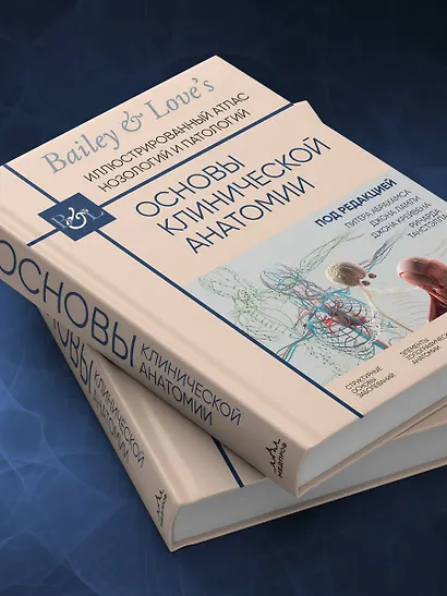 Основы клинической анатомии. Иллюстрированный атлас нозологий и патологий - фото 11