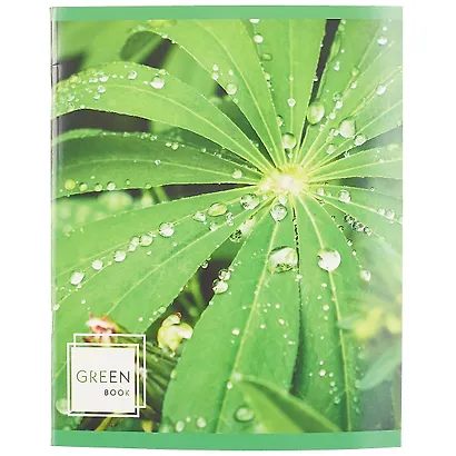 Тетрадь в линейку Listoff, "Листья в росе", 48 листов, в ассортименте - фото 6