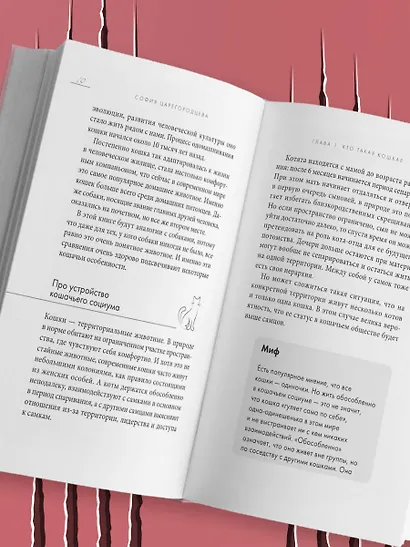Кошачий закон и порядок. Как найти общий язык с кошкой и не стать жертвой ее капризов - фото 10