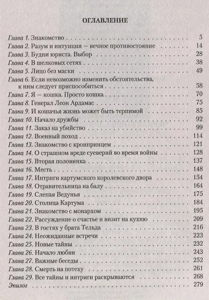 Черная кошка для генерала - фото 2