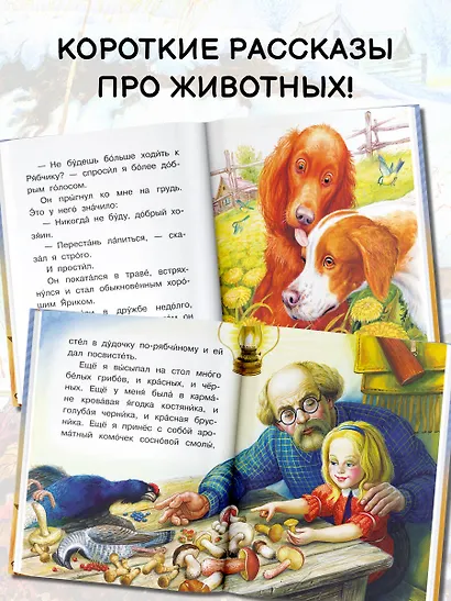 Рассказы о животных - фото 6